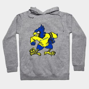 Delphos St. John's Blue Jay Hoodie